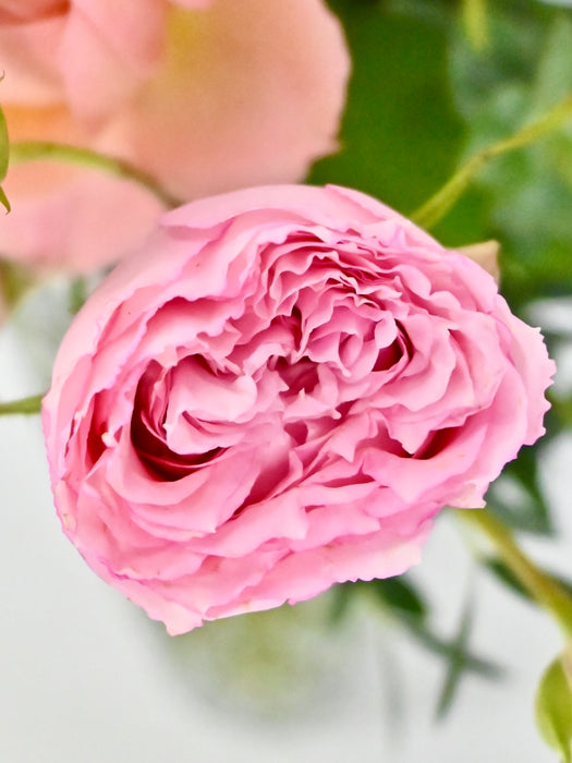 Julietta Blossom