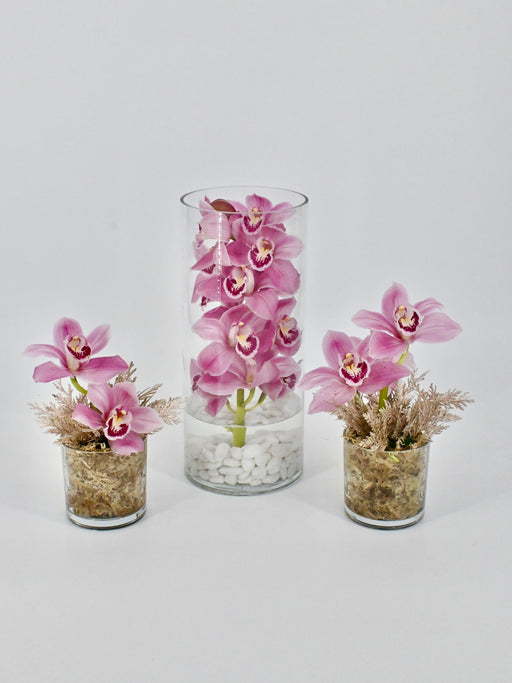 Cymbidium Vase Set