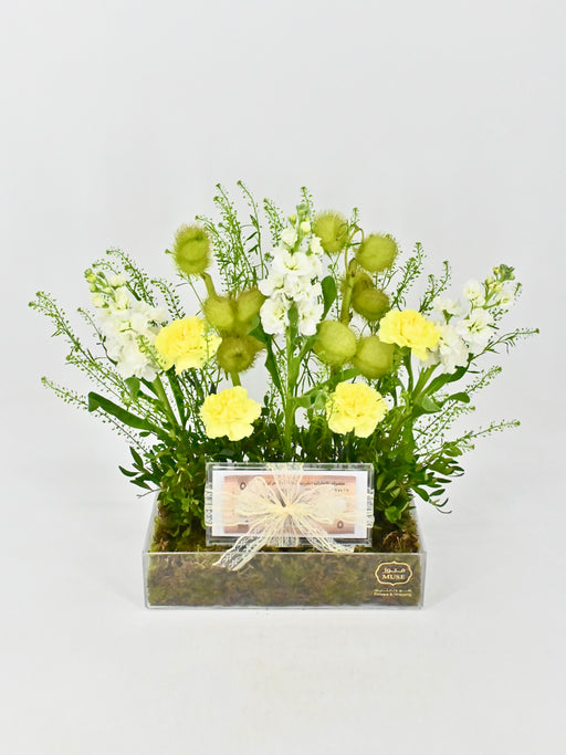 Janerio Money Garden