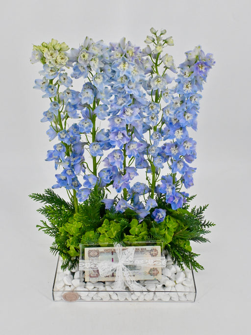 Delphinium Money Arrangement