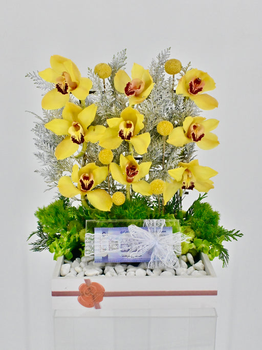 Cymbidium Money Arrangement