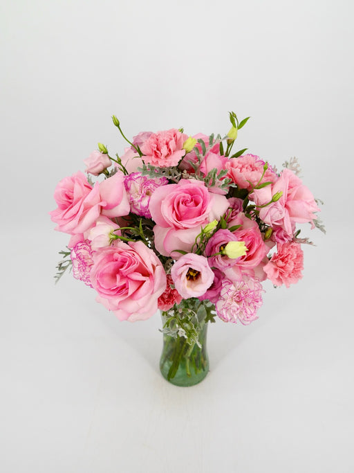 Pink Blooms