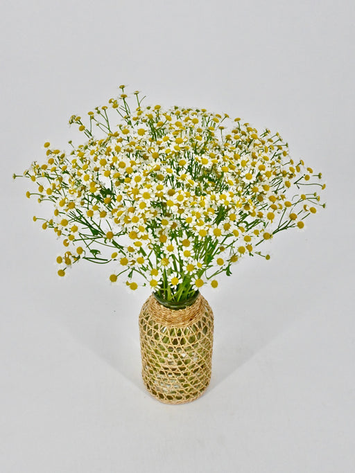 Tana in Vase with delivery for Ms. Muneera