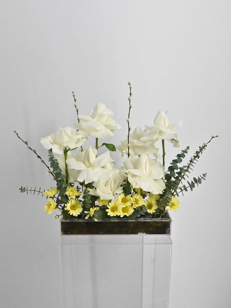 EID Celestial White
