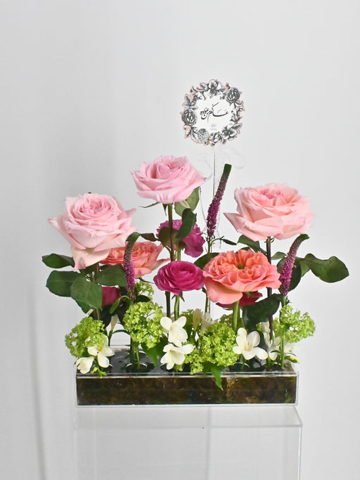 EID Classic and Elegant