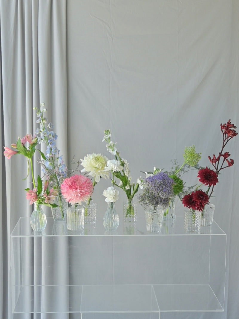 Chromatic Gradient Bud Vase Collection