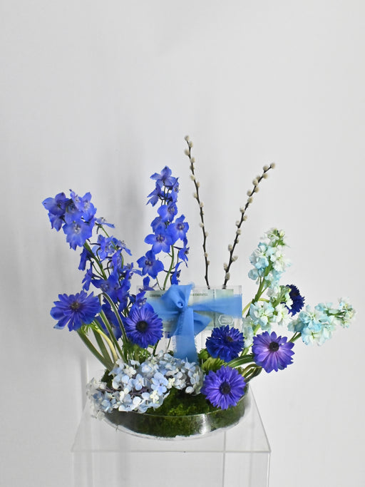 Azure Whisper Money Bloom