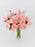 J Bloom