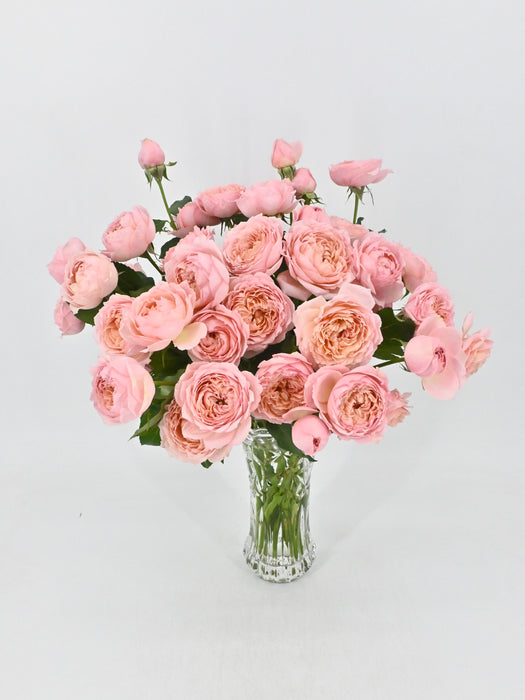 J Bloom