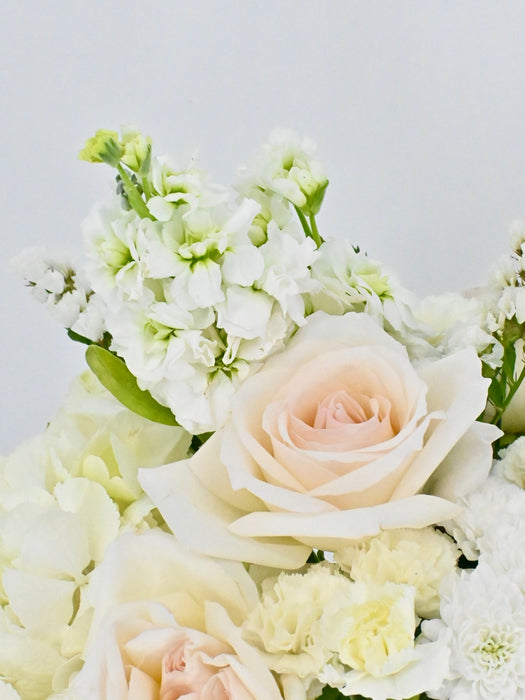 White Petals