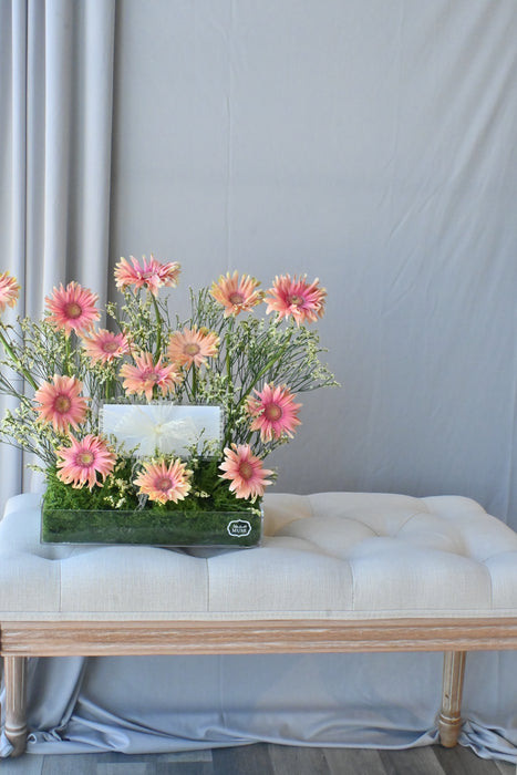 Rosatta Premium Bloom