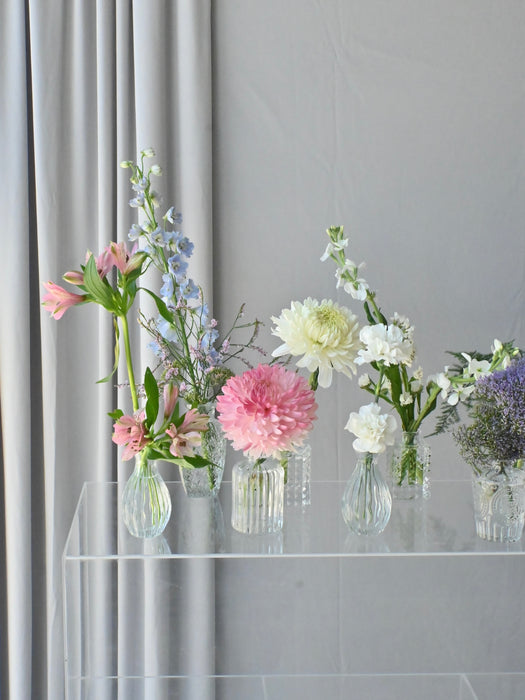 Chromatic Gradient Bud Vase Collection