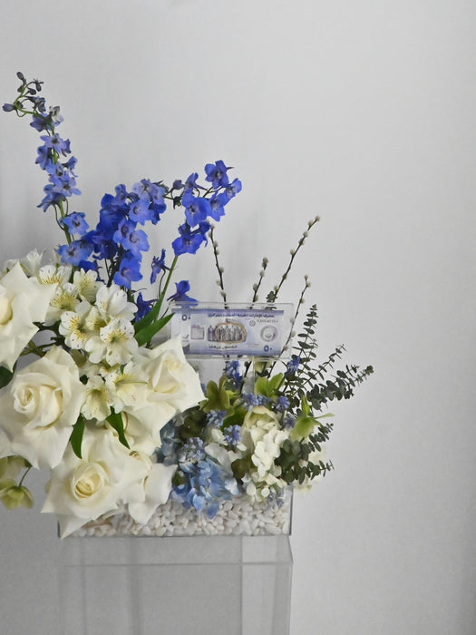 Little Blessings Money Bloom