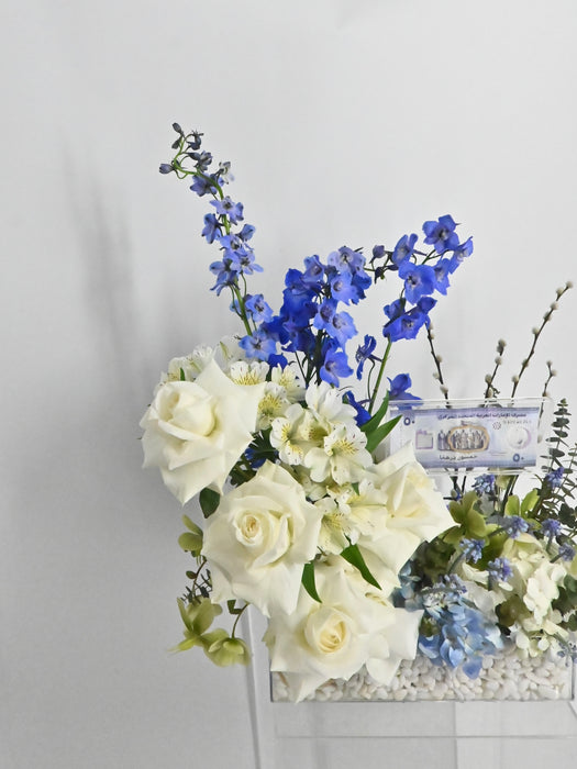 Little Blessings Money Bloom