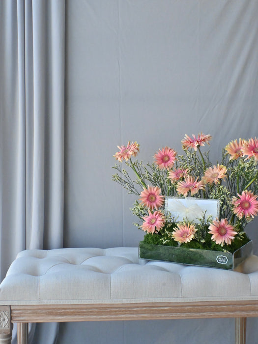 Rosatta Premium Bloom