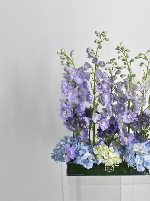 EID Blossom Serenity