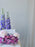 Premium Purple Breeze & Peony Box
