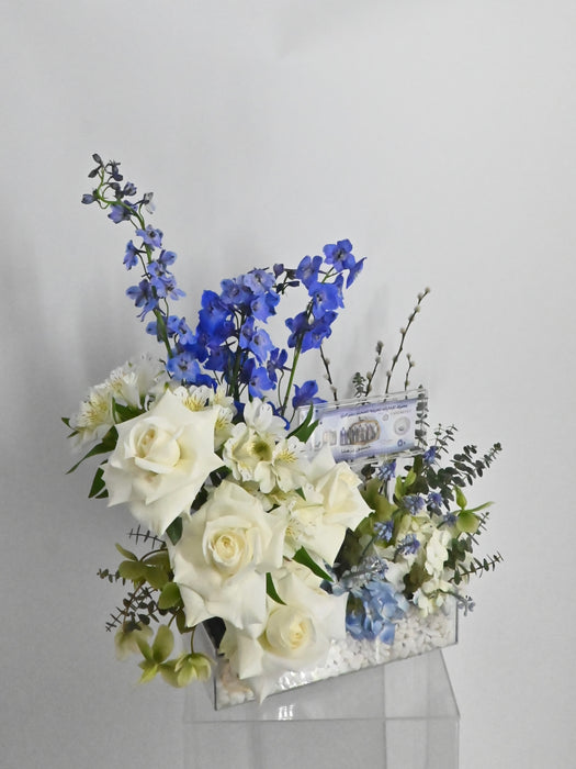 Little Blessings Money Bloom