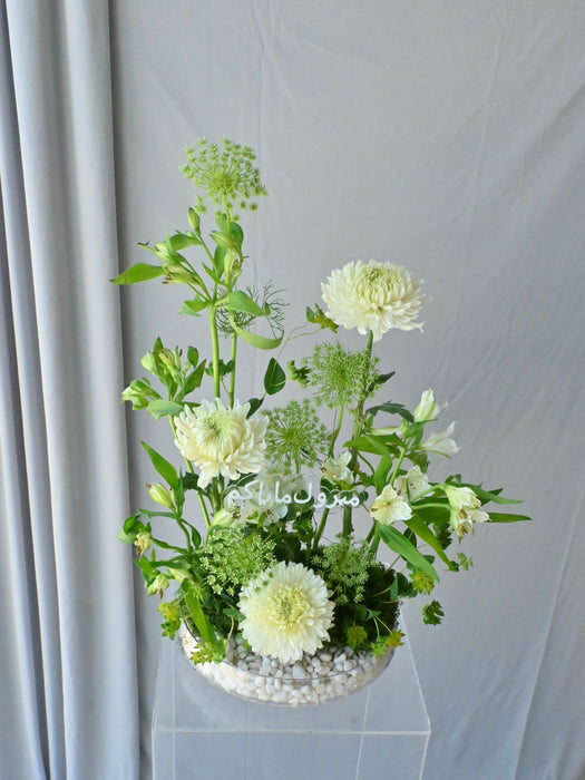 Rawda Floral Display