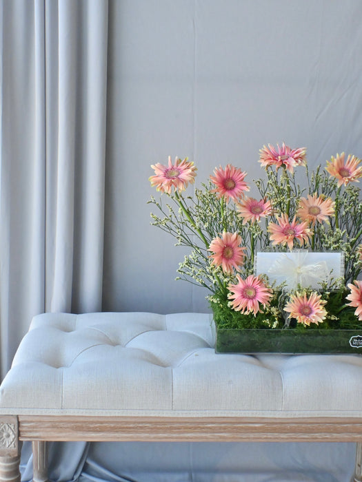 Rosatta Premium Bloom