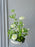 Rawda Floral Display