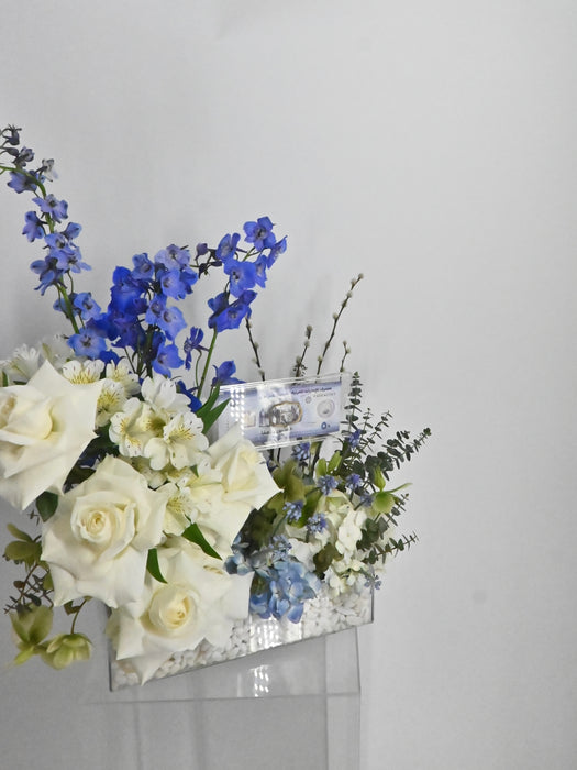 Little Blessings Money Bloom