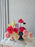 Graduation Bloom Money Arrangement