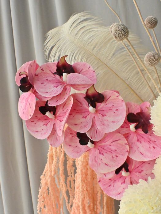 Blossom & Fringe