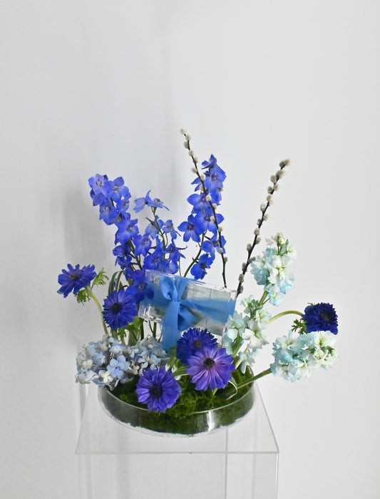 Azure Whisper Money Bloom