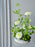 Rawda Floral Display