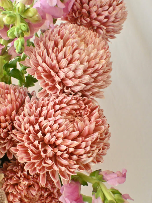 Blossom & Fringe