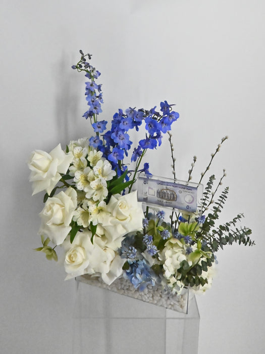 Little Blessings Money Bloom