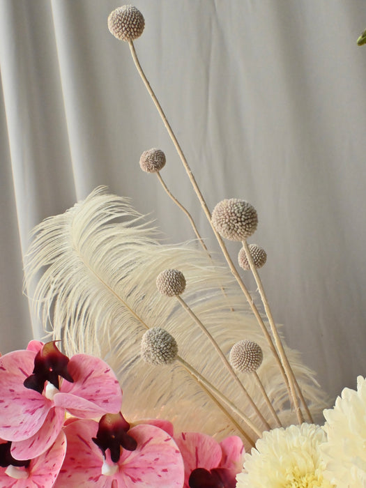 Blossom & Fringe