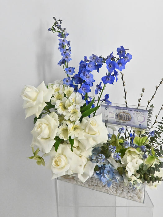 Little Blessings Money Bloom