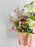 Petals of Muse Signature Arrangement