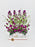 Aster
