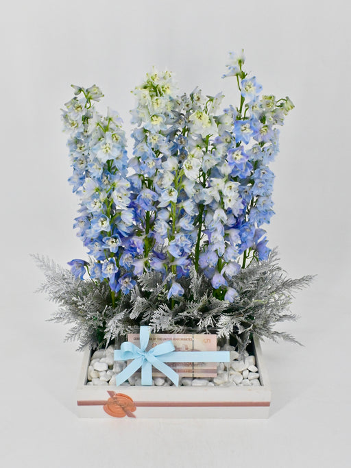 Delphy Blue