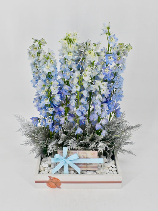 Delphy Blue