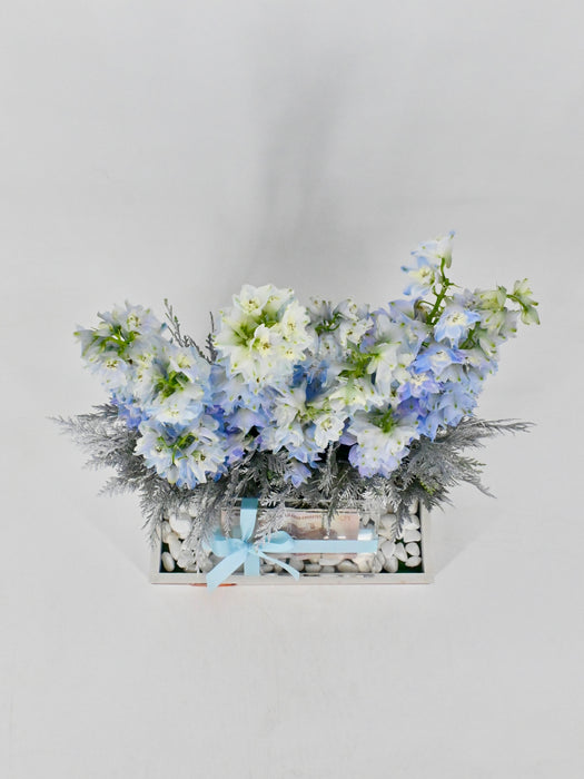 Delphy Blue