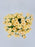 Salinero Bloom