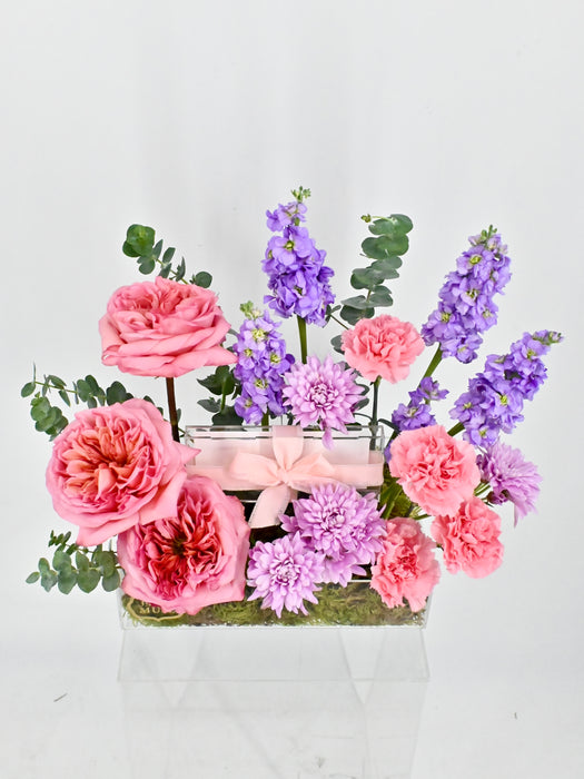 Pink Expression Money Garden