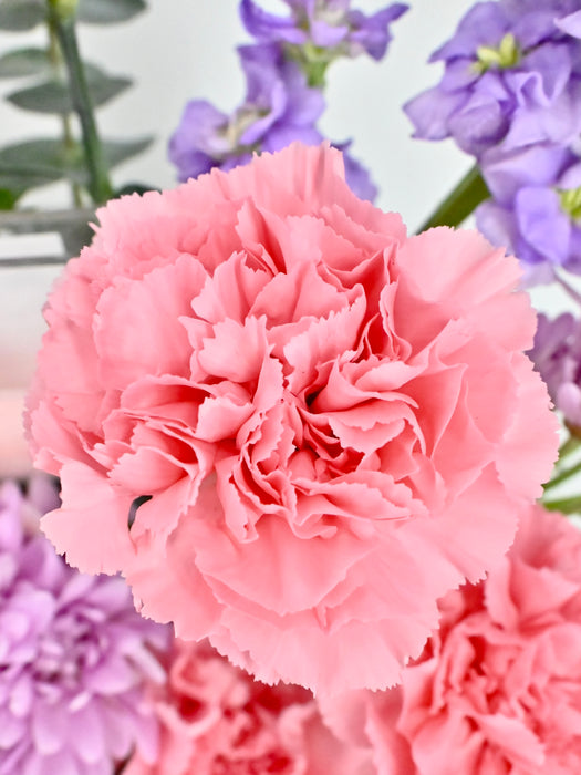 Pink Expression Money Garden