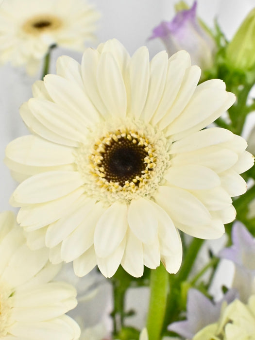 White Lido Bouquet