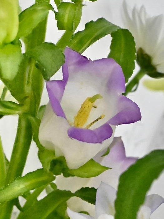 White Lido Bouquet