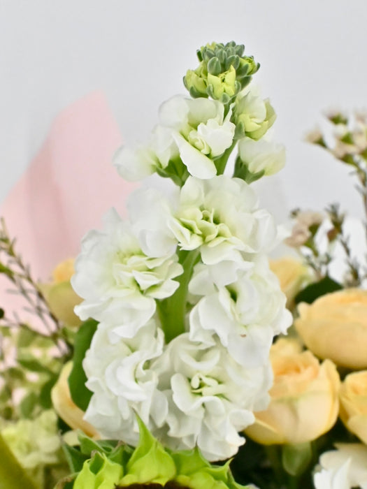 Bouquet Exotica