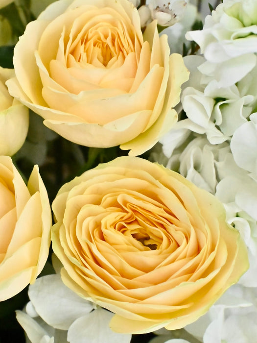 Bouquet Exotica