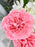 Verona Bouquet
