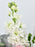 Verona Bouquet