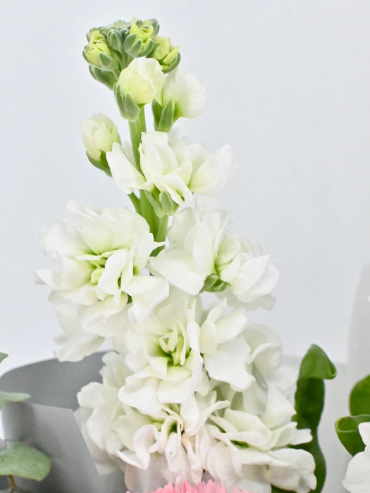 Verona Bouquet