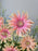 Rosatta Premium Bloom